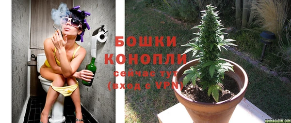 шишки Струнино