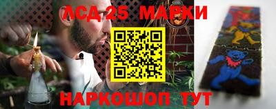индика Можга
