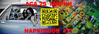 индика Можга