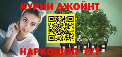 индика Можга