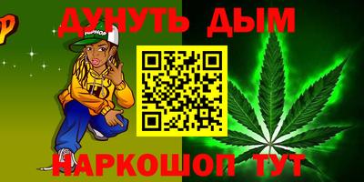 индика Можга