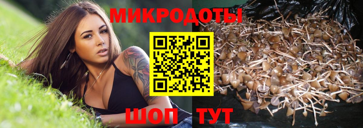 Псилоцибиновые грибы прущие грибы Тихорецк