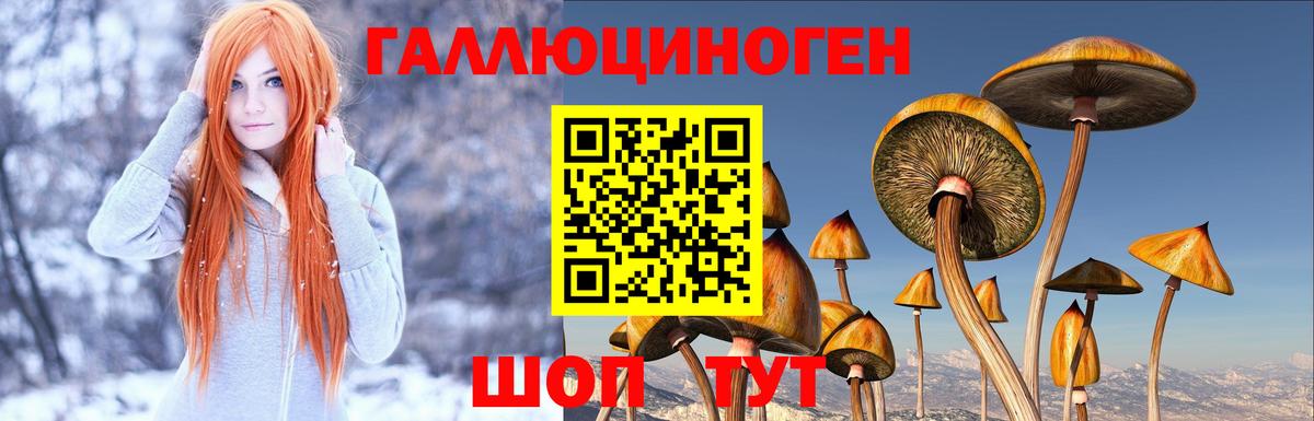 Галлюциногенные грибы Cubensis  Вход с VPN  Тихорецк 